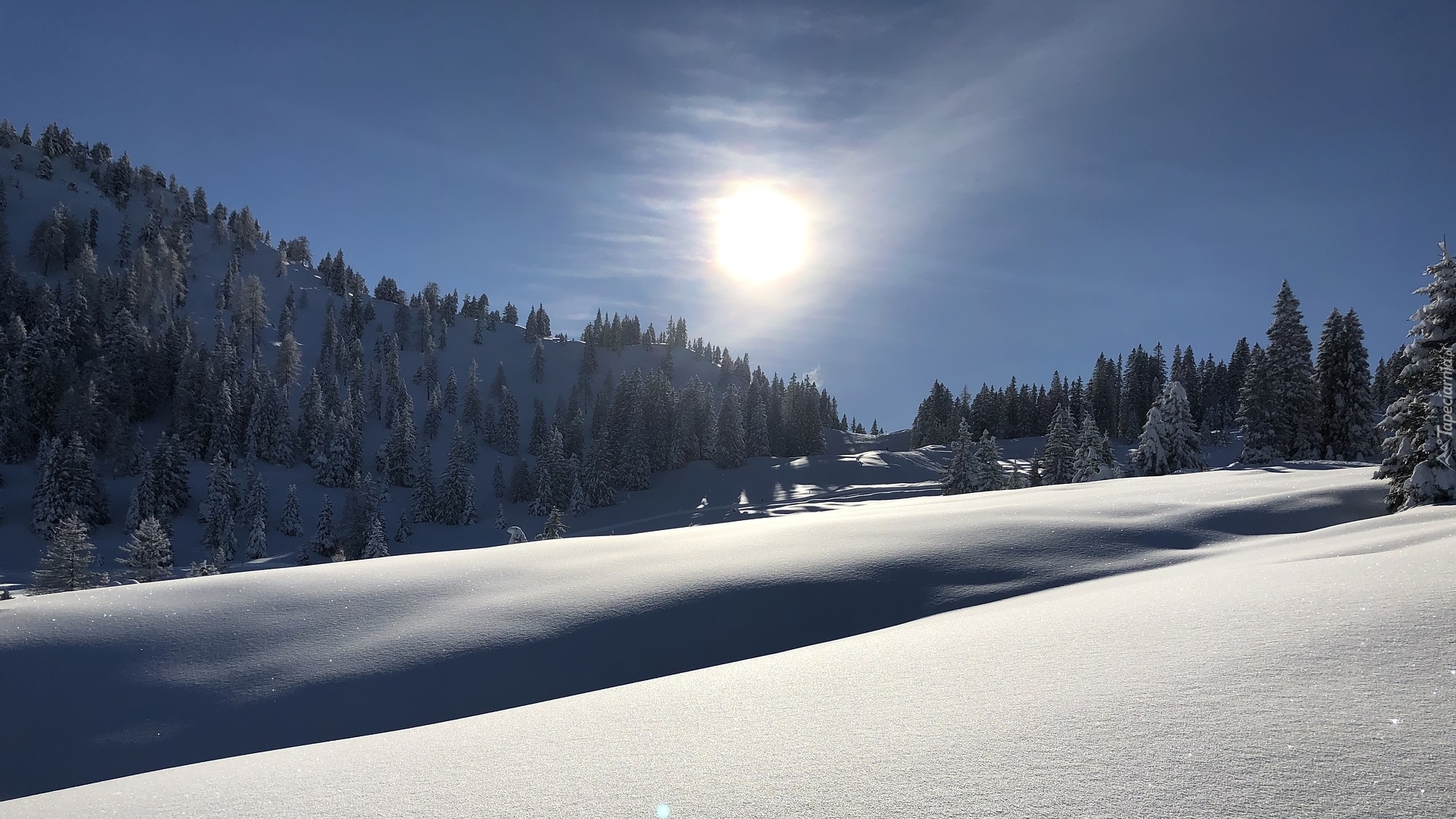 Zima, Śnieg, Las, Promienie słońca, Drzewa