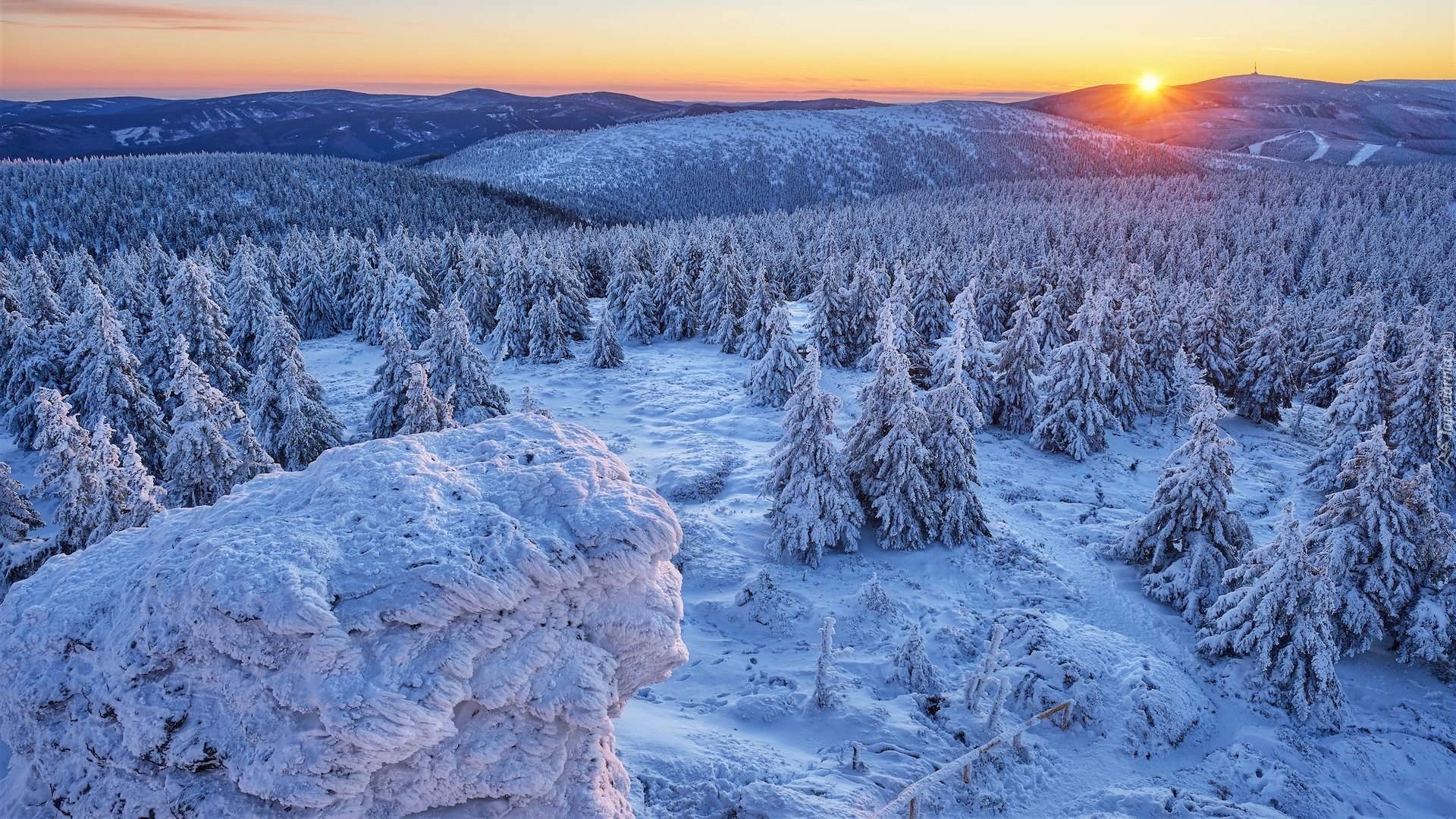 Zima, Góry, Wschód słońca, Śnieg, Drzewa, Ośnieżone, Lasy