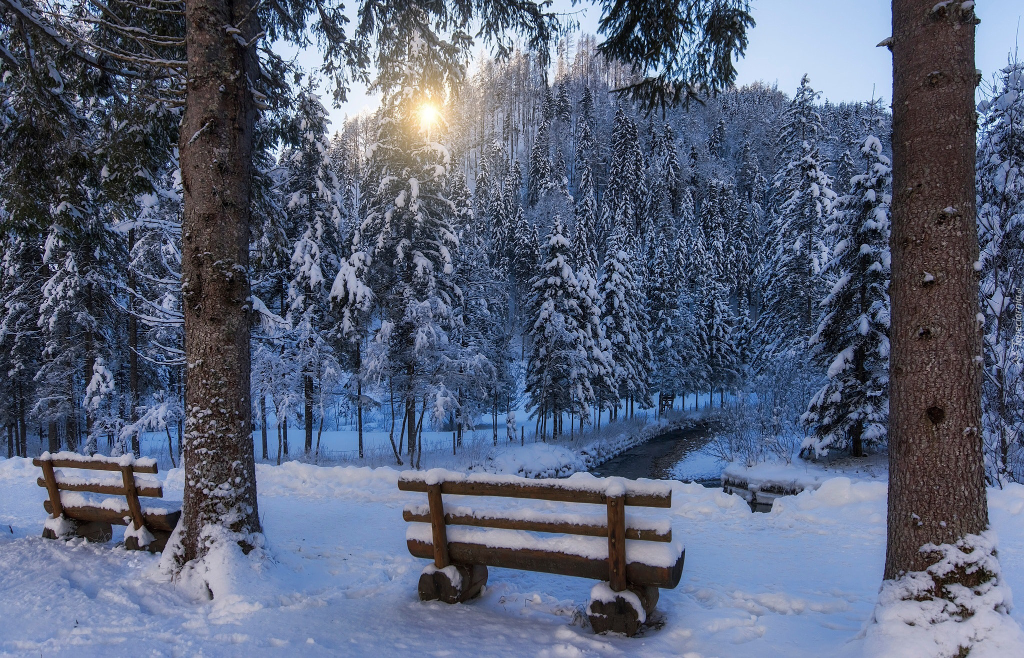 Zima, Park, Drzewa, Ławki, Wschód słońca