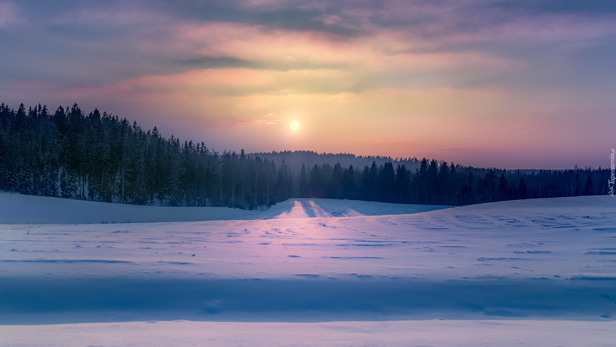 Zima, Drzewa, Las, Śnieg, Zachód słońca