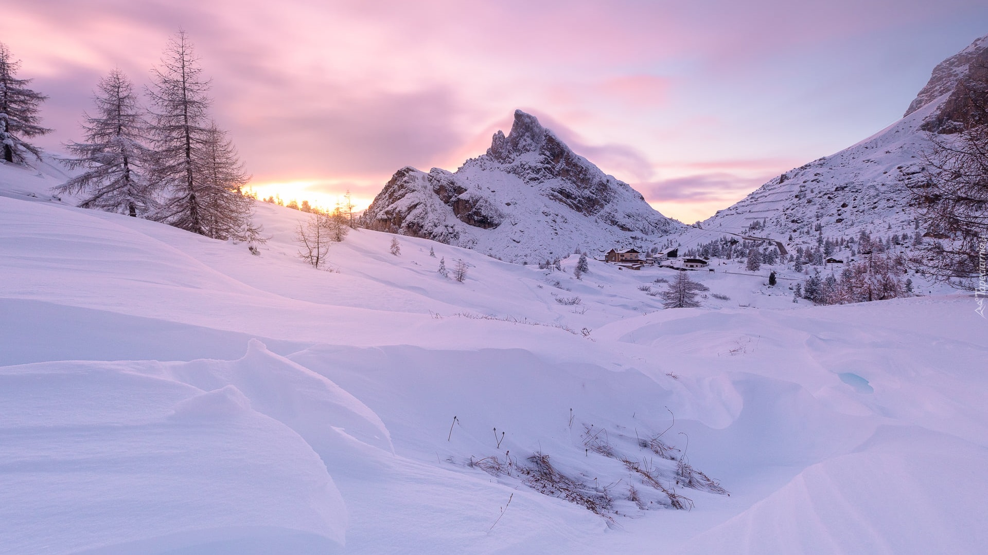 Zima, Góry, Dolomity, Przełęcz, Falzarego Pass, Drzewa, Wschód słońca, Włochy