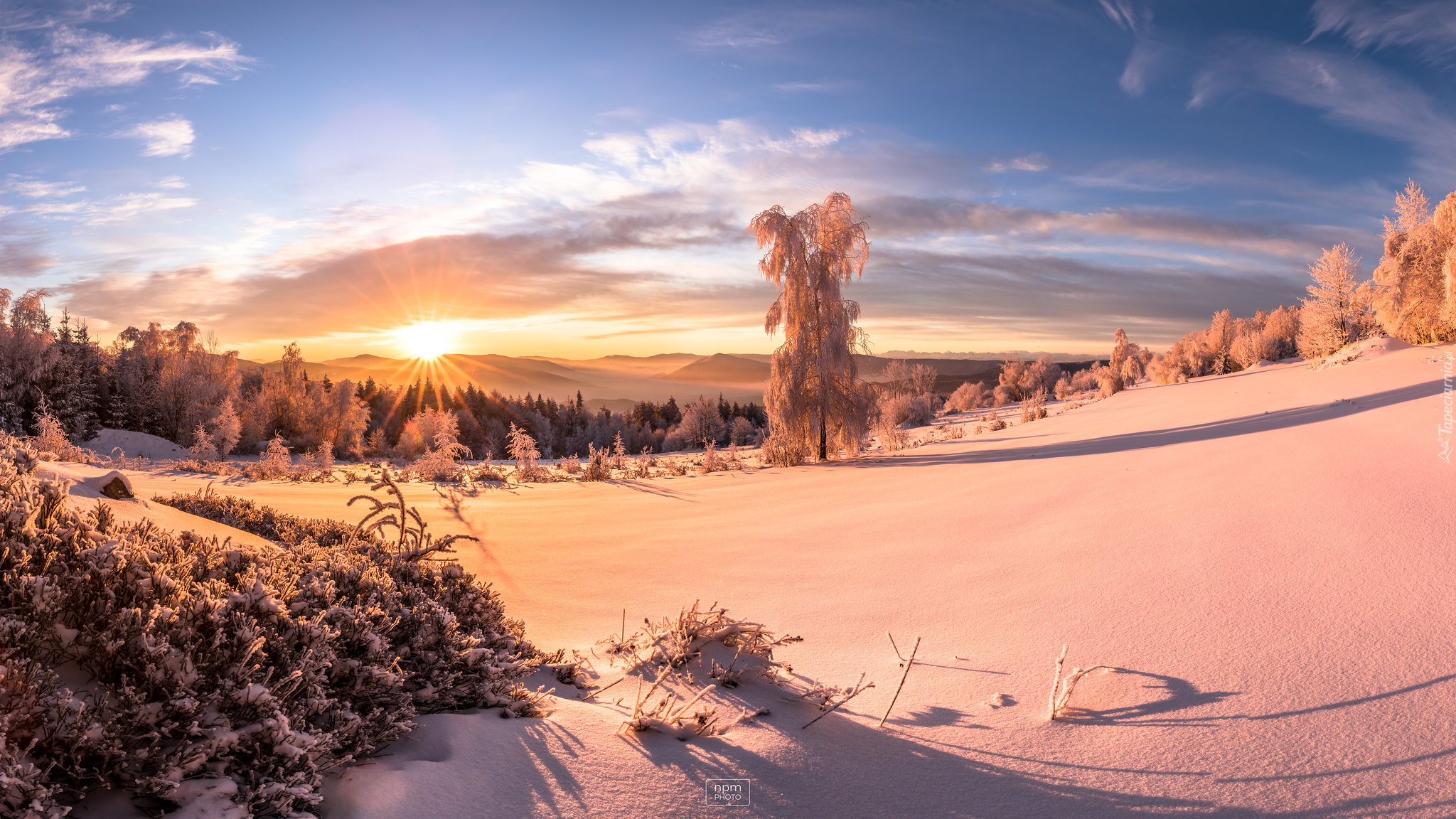 Polska, Góry, Beskidy, Wschód słońca, Zima, Śnieg, Drzewa