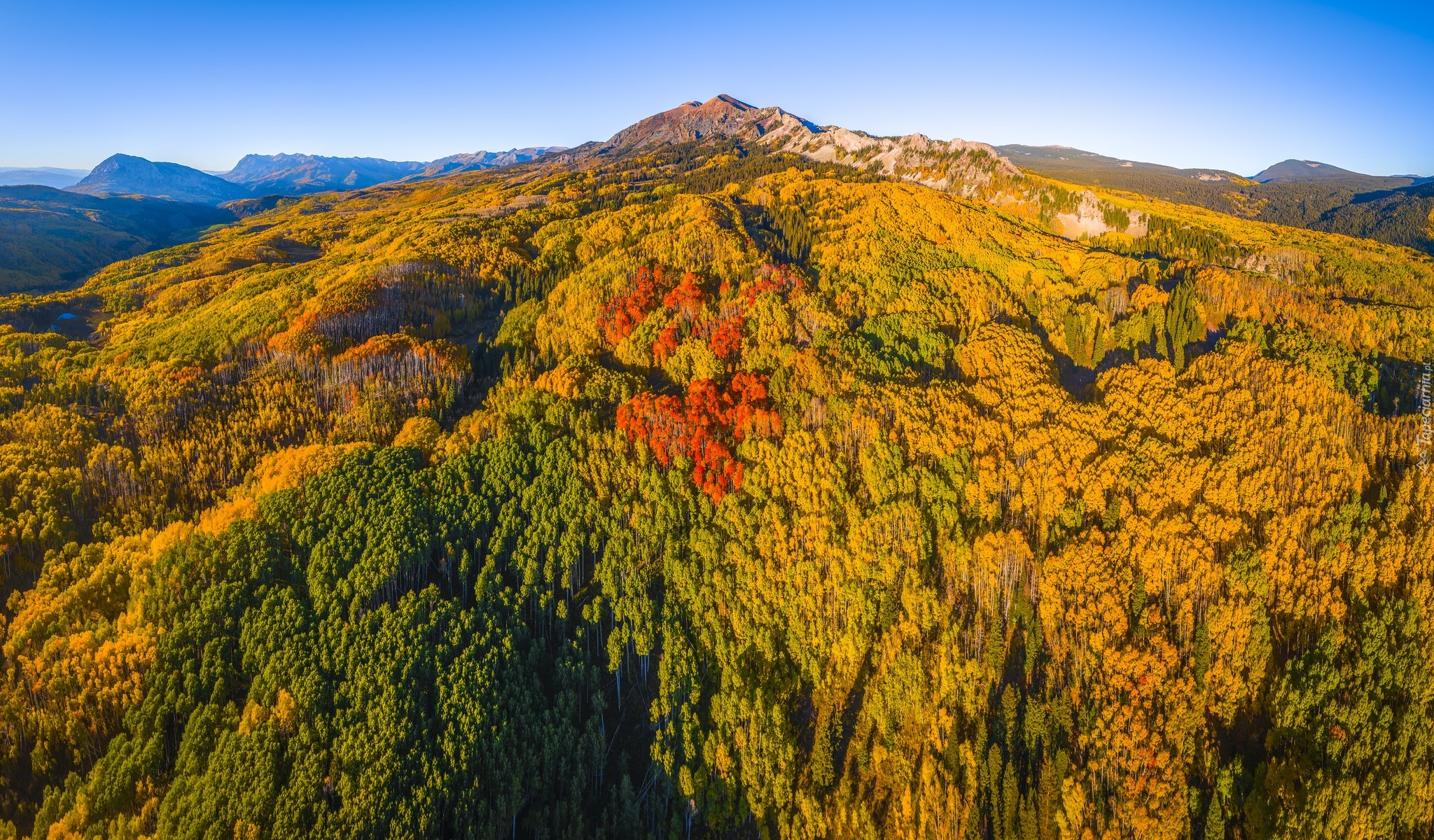 Stany Zjednoczone, Kolorado, Przełęcz, Kebler Pass, Góry, Las, Drzewa, Jesień