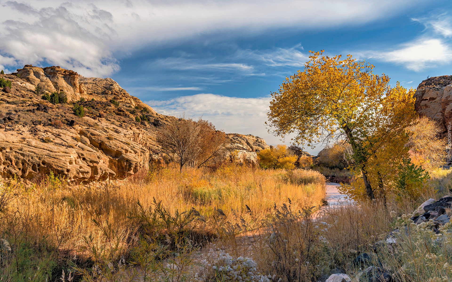 Jesień, Rzeka, Drzewa, Trawa, Skały, Park Narodowy Capitol Reef, Stan Utah, Stany Zjednoczone