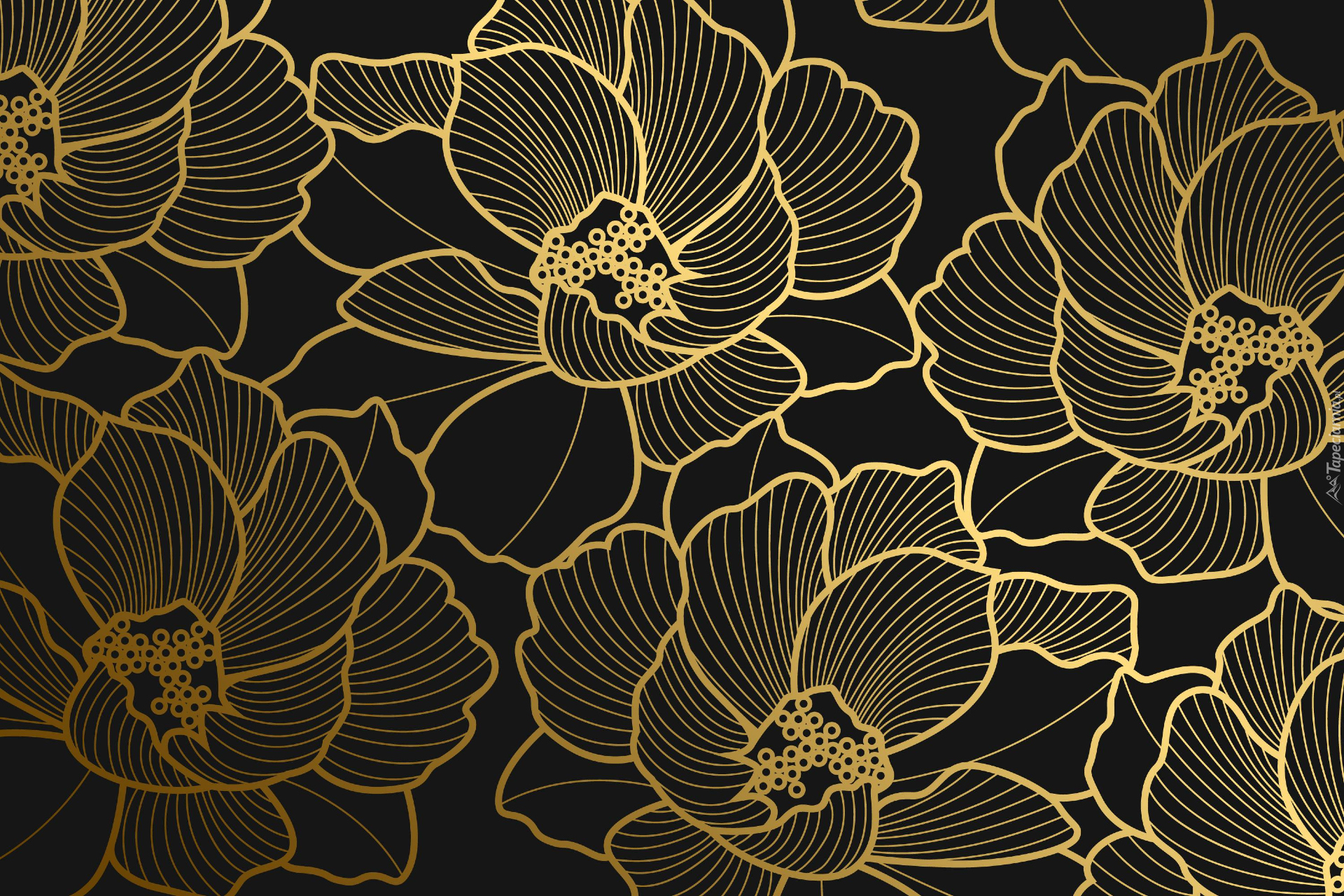 Grafika 2D, Złote, Kwiaty