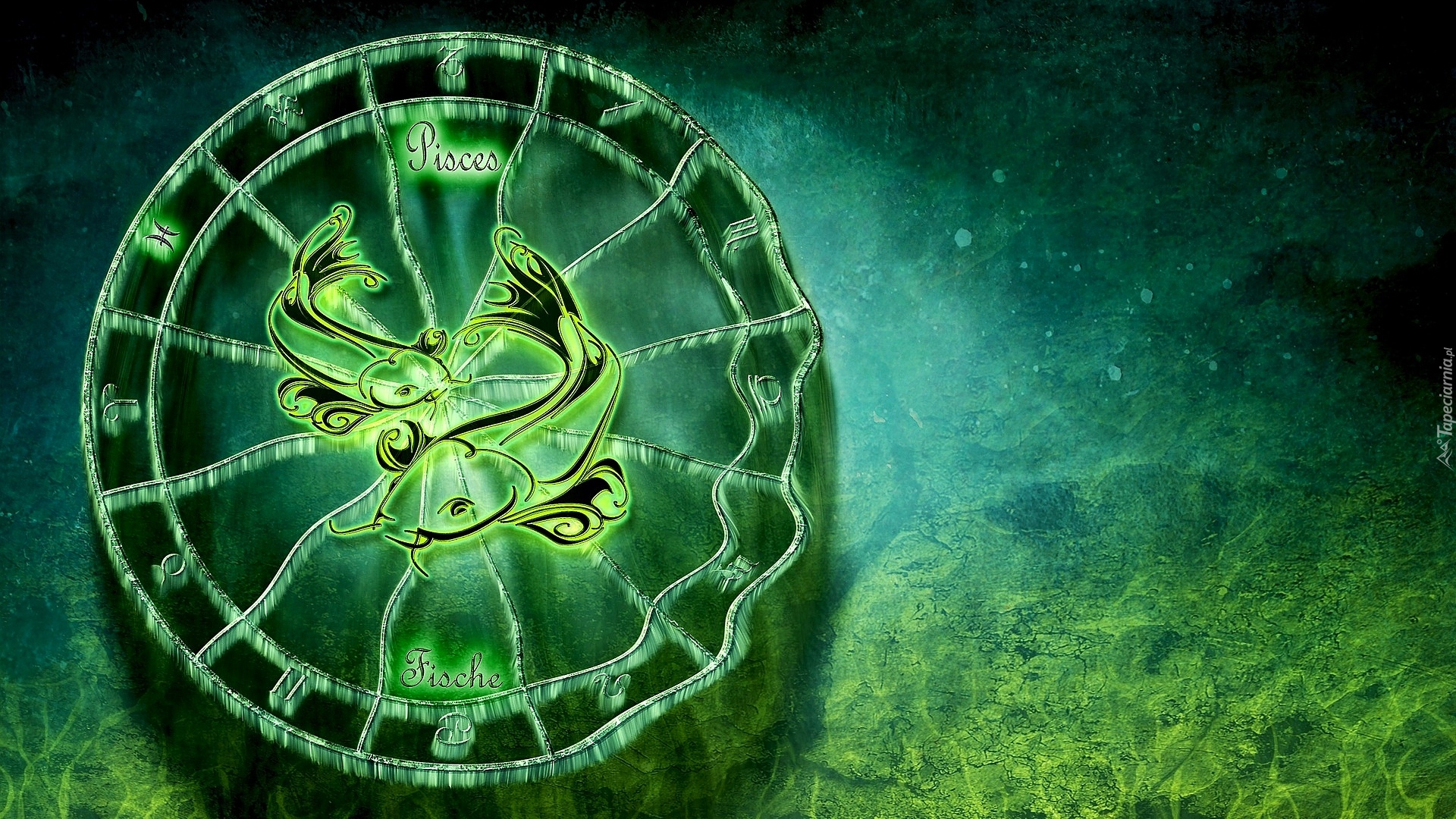 Jaki Znak Zodiaku Pasuje Do Ryby Znak zodiaku - Ryby