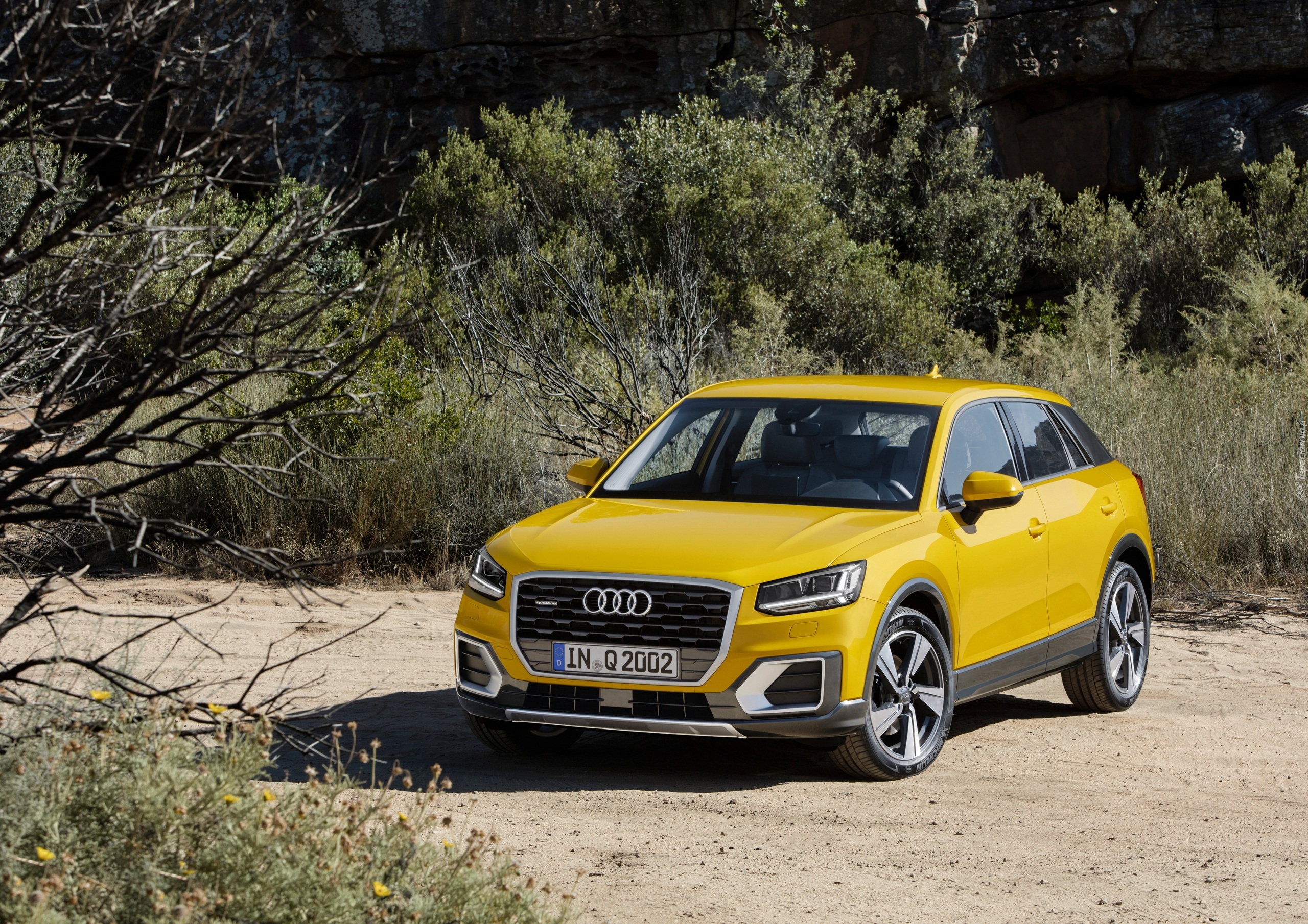 Żółte, Audi Q2, Przód