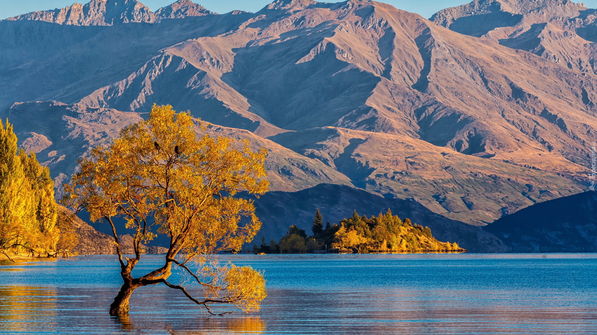 Jezioro Wanaka, Pochylone, Drzewo, Góry, Jesień, Nowa Zelandia