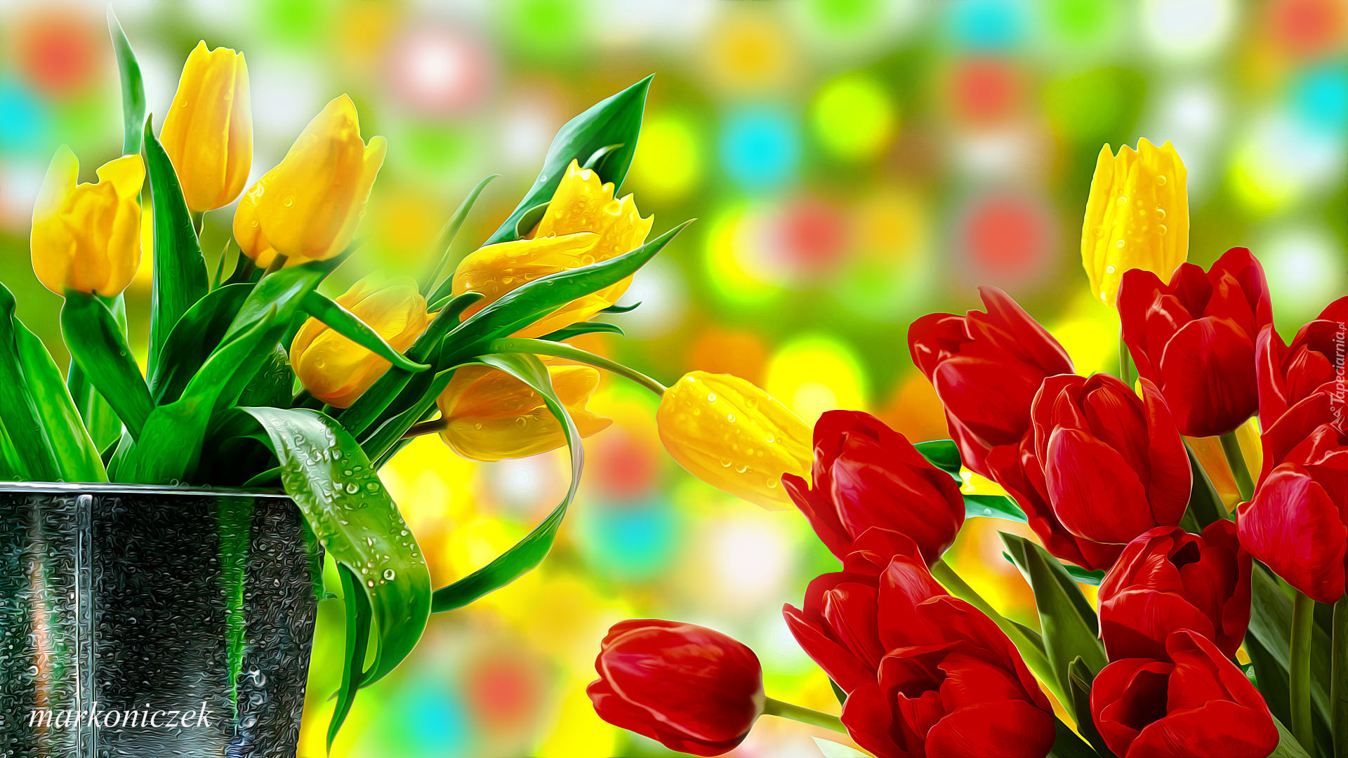 Kwiaty, Żółte, Czerwone, Tulipany, Grafika