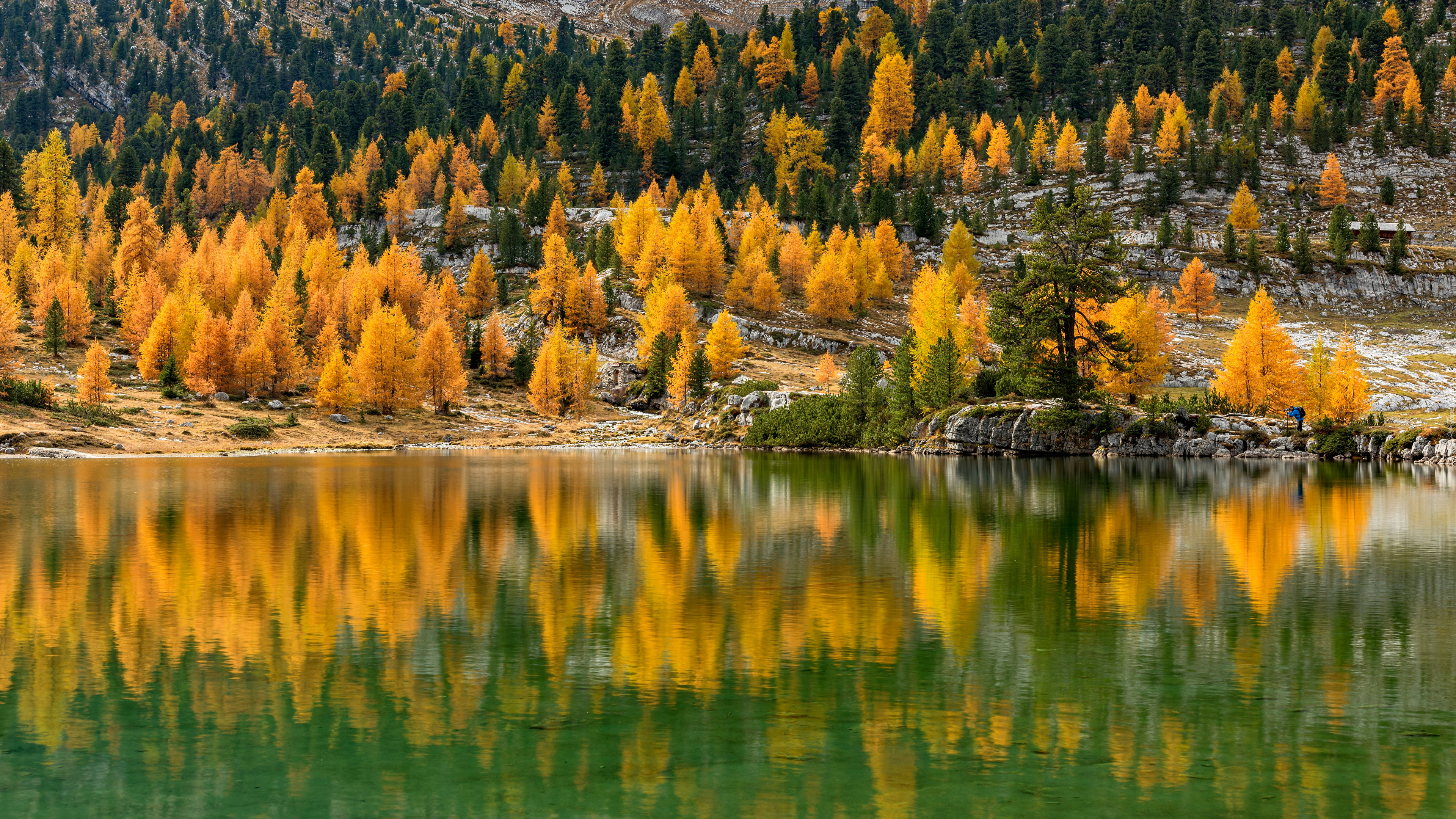 Jezioro, Odbicie, Las, Drzewa, Jesień