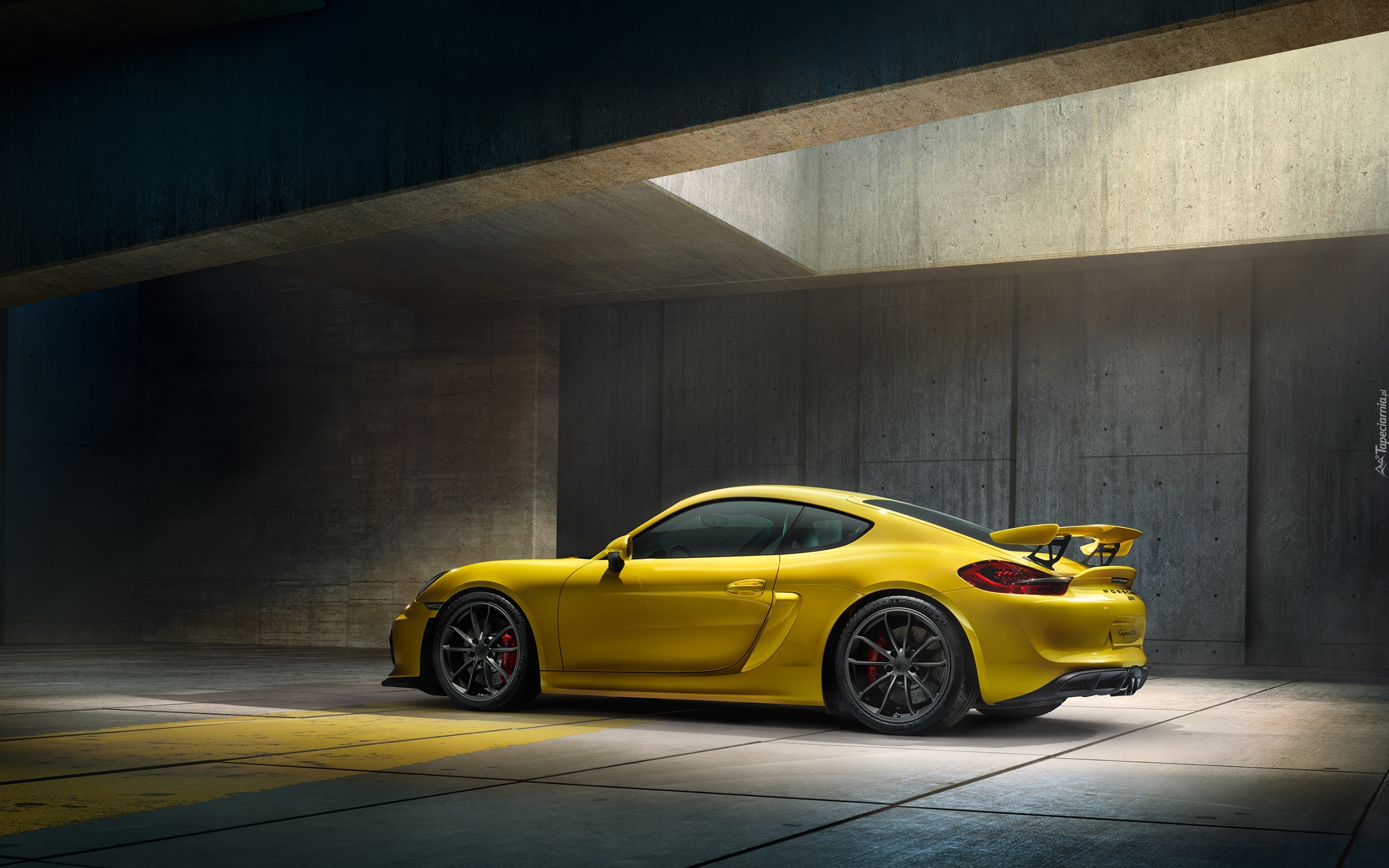 Porsche Cayman GT4, Bok