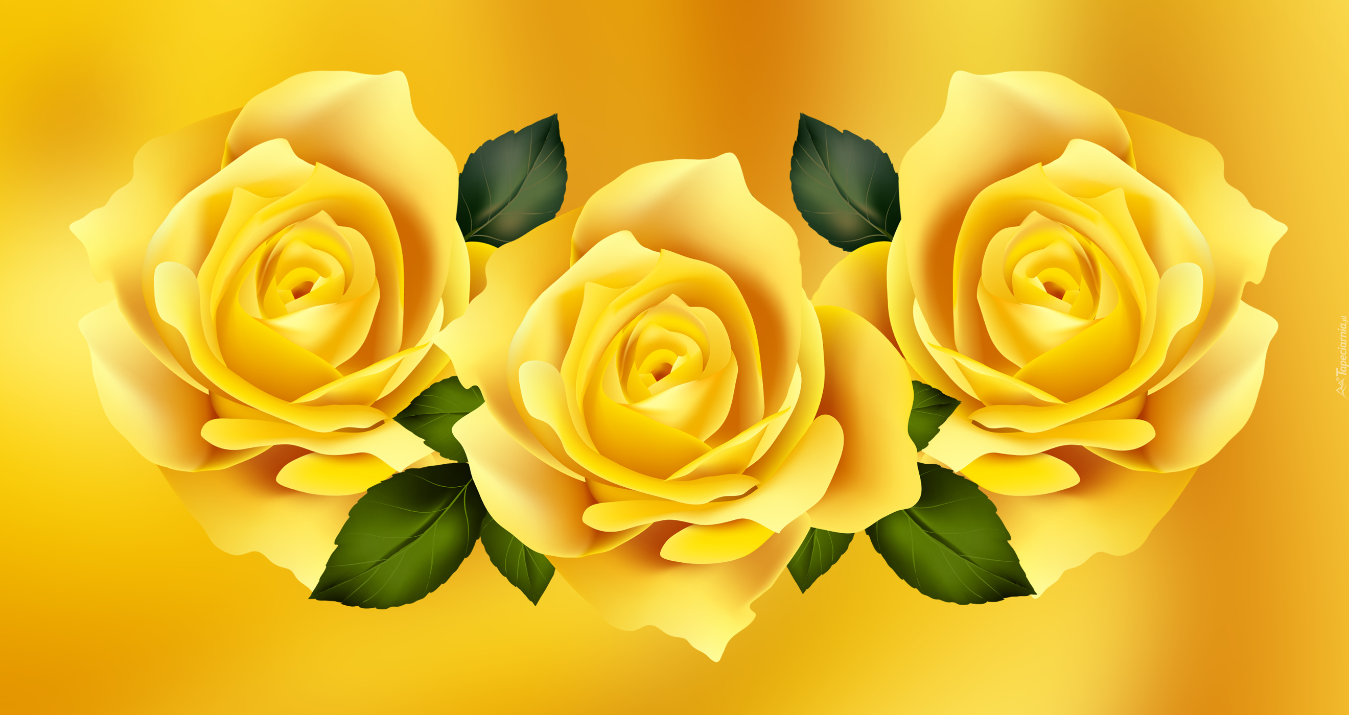 Trzy, Żółte, Róże