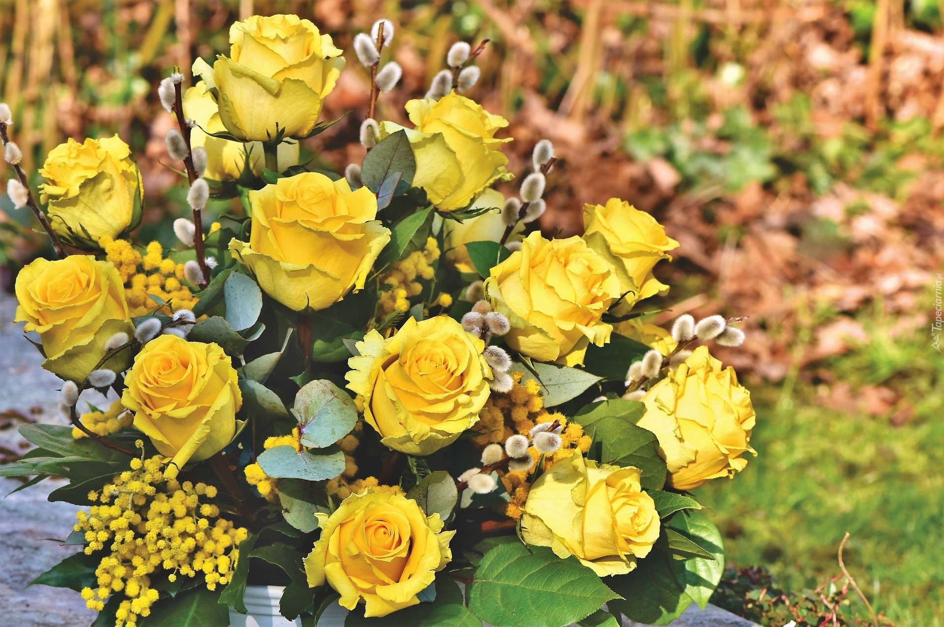 Kwiaty, Żółte, Róże, Bazie