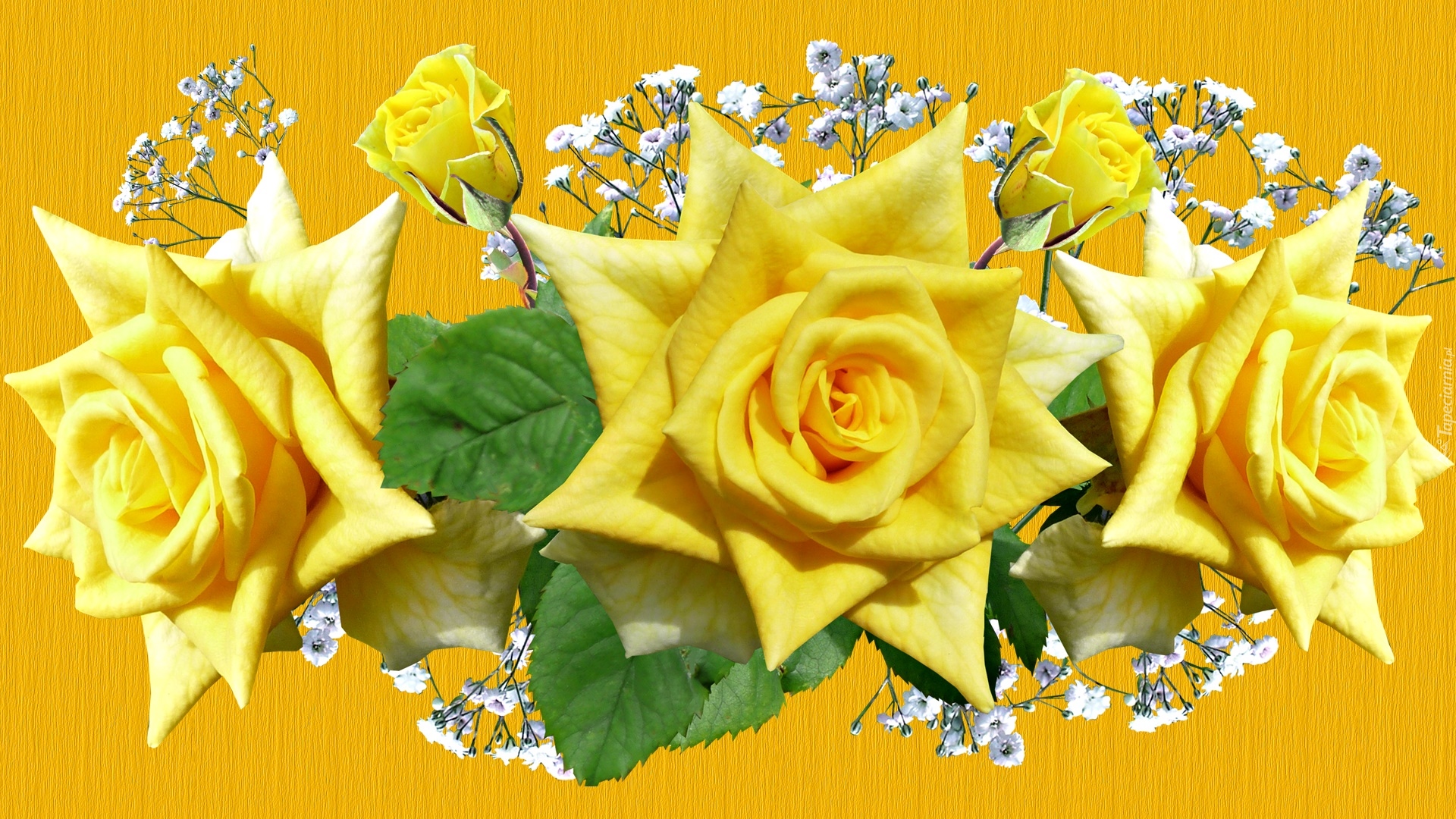 Kwiaty, Żółte, Róże, Tło, Grafika 2D
