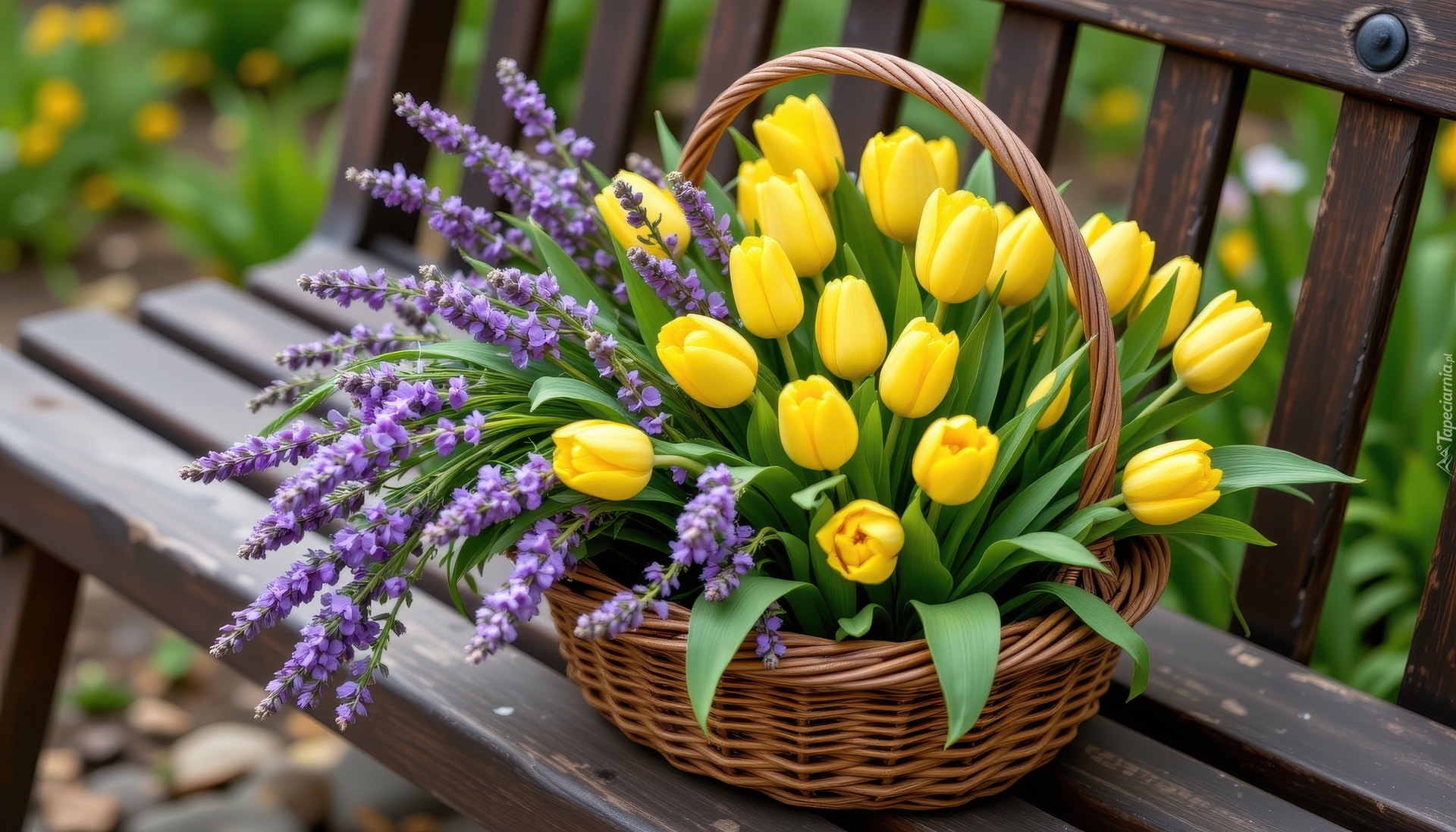 Wiklinowy, Koszyk, Kwiaty, Żółte, Tulipany, Lawenda, Ławka