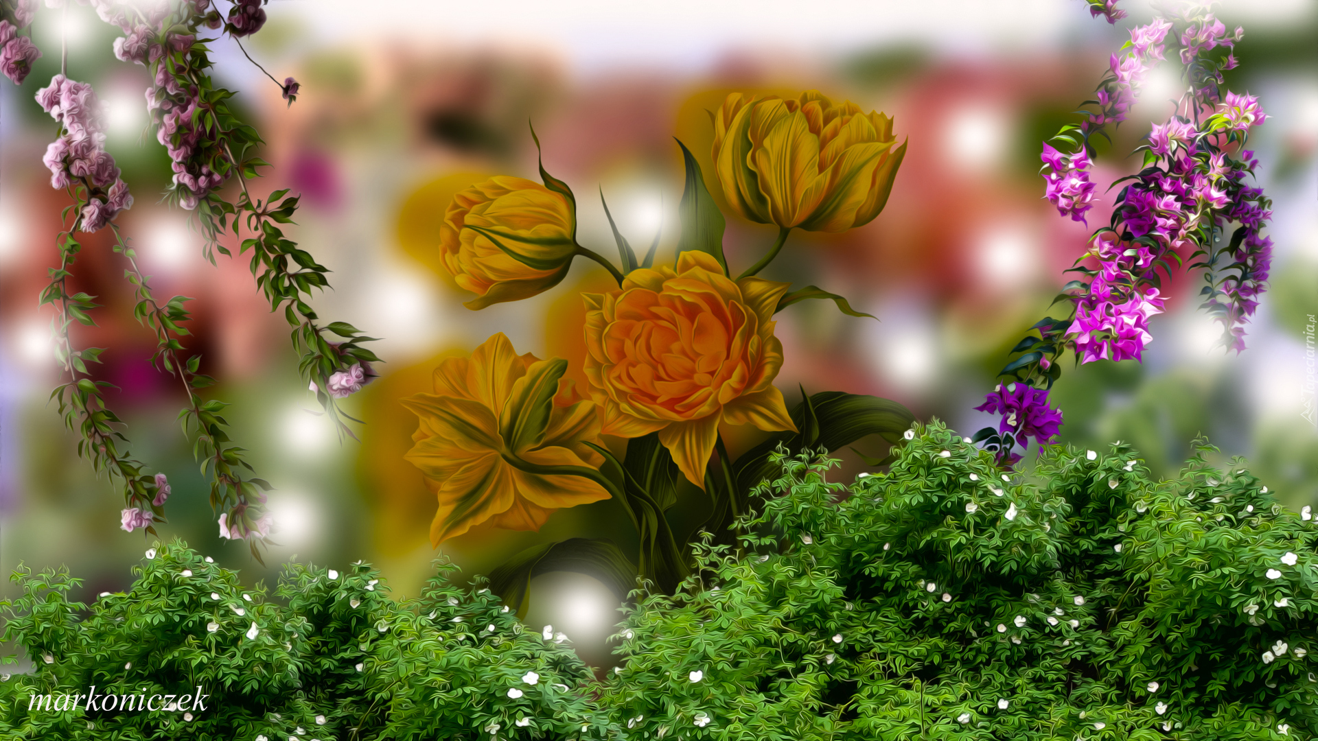Kwiaty, Tulipany, Grafika 2D