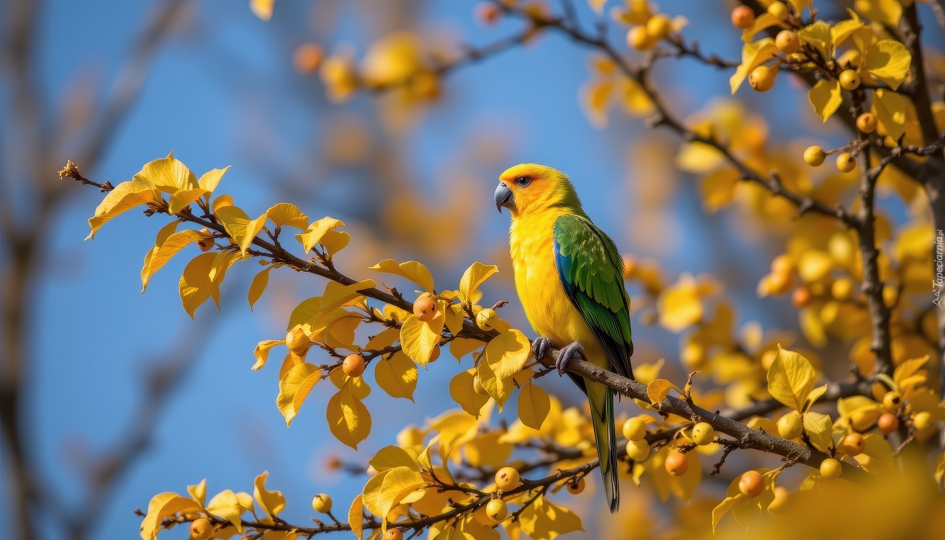 Żółto-zielona, Papuga, Gałązki, Żółte, Liście, Grafika AI