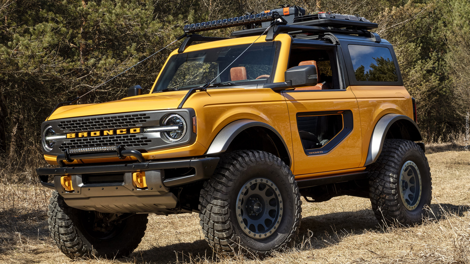 Ford Bronco, Żółty