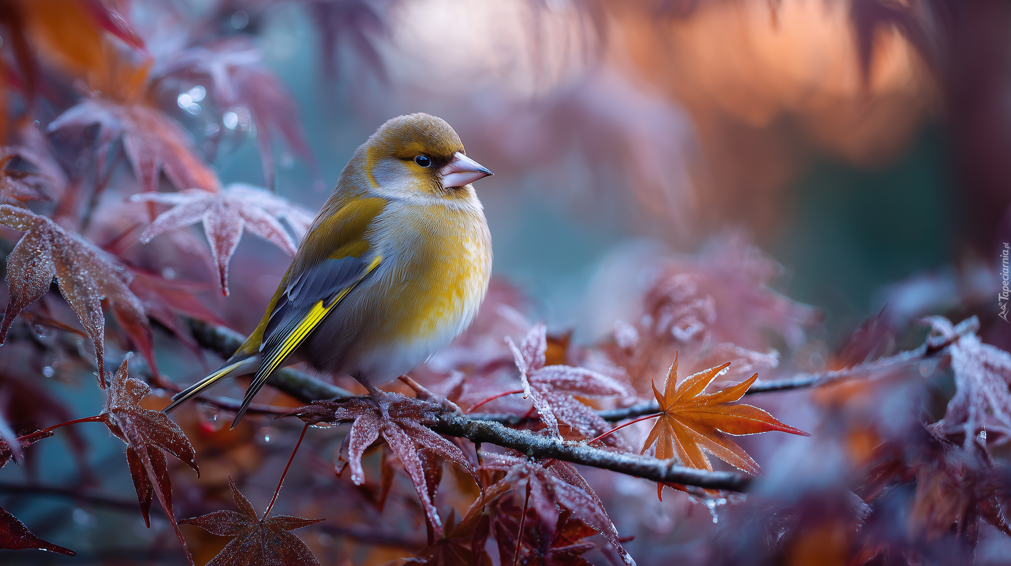 Żółty, Ptak, Oszronione, Liście, Gałązki, Grafika AI