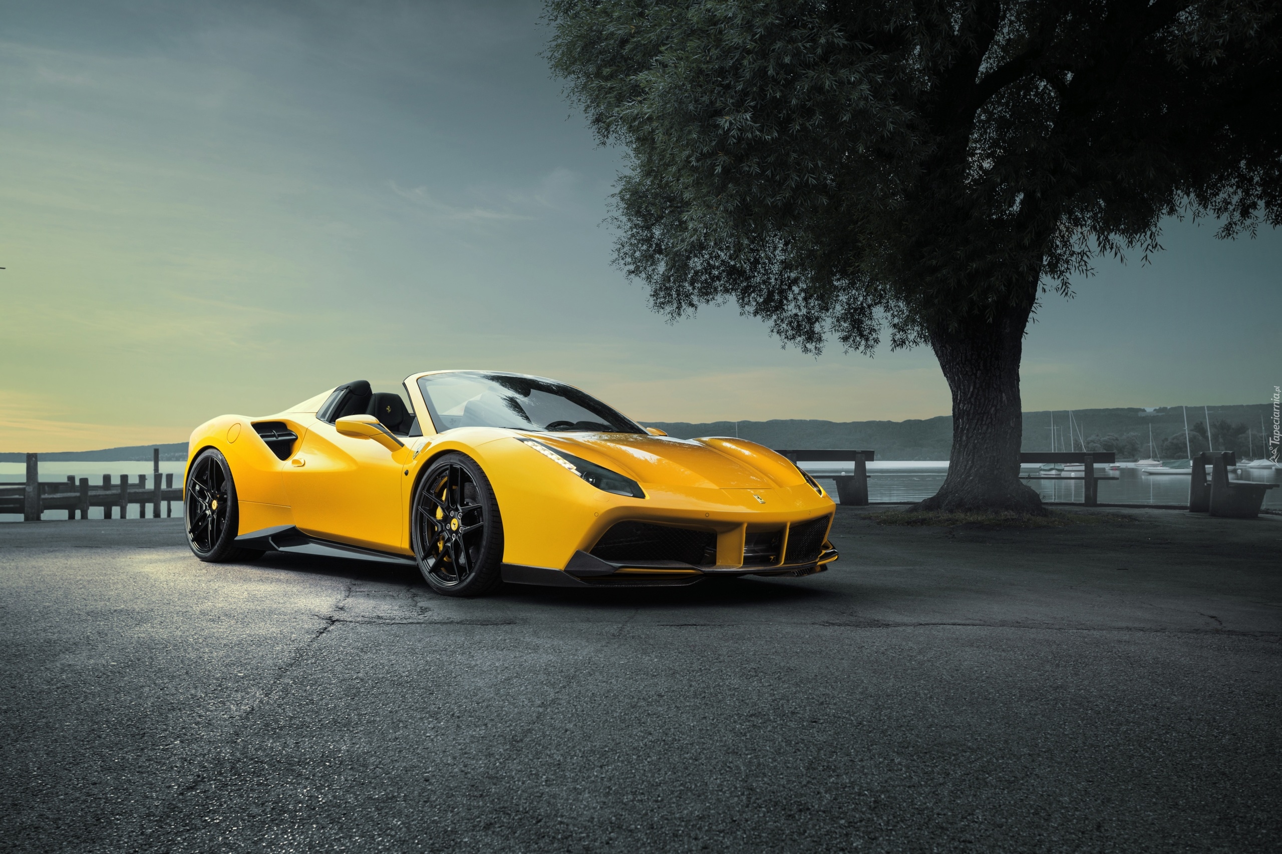 Żółte, Ferrari Novitec Rosso 488 Spider, 2016