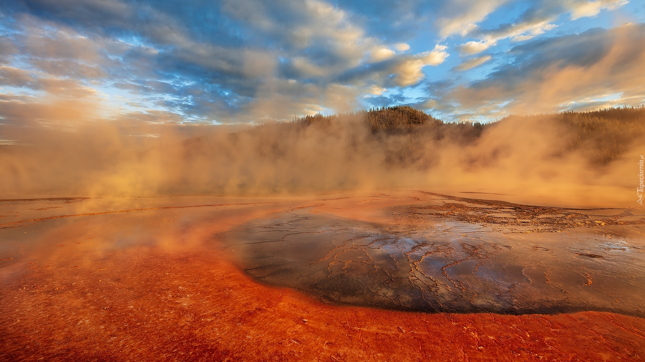 Gejzer, Źródło termalne, Grand Prismatic Spring, Para, Drzewa, Midway Geyser Basin, Park Narodowy Yellowstone, Wyoming, Stany Zjednoczone Gejzer