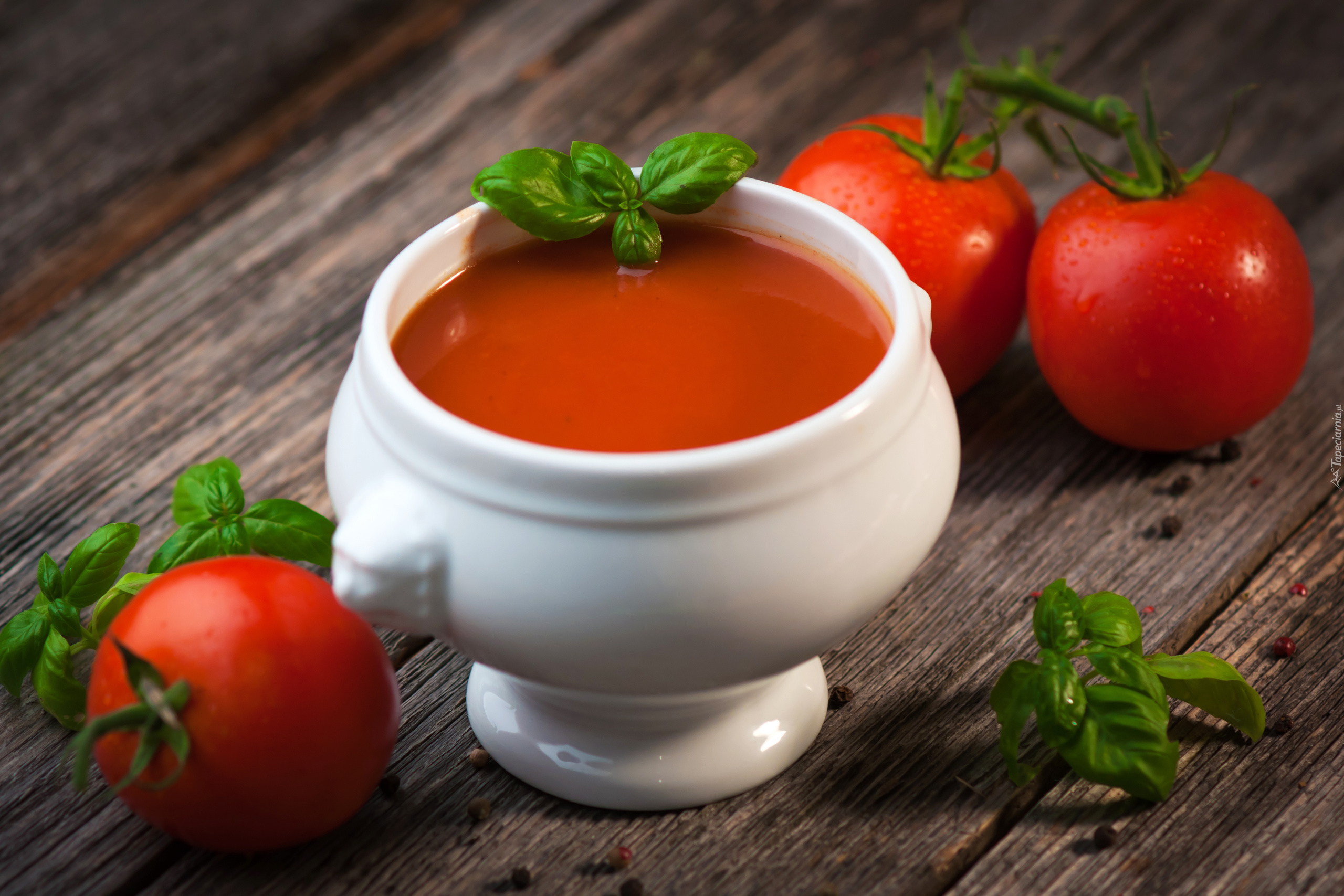 Pomidory, Zupa pomidorowa, Bazylia