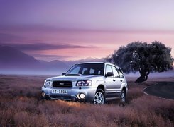 Subaru, Forester, 2004