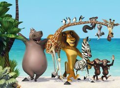 Madagaskar 2