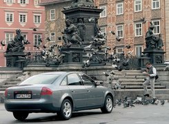 Audi A6, Pomnik, gołębie