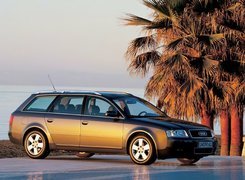 Audi A6, Palmy