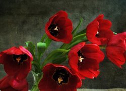 Czerwone, Tulipany