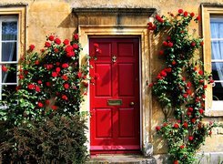 Dom, Czerwone, Drzwi, Róże