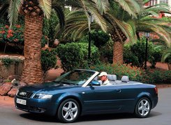 Audi A4, Cabrio, Palmy