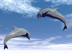 Dwa, Delfiny, Chmury