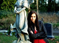 Nina Dobrev, Pamiętniki wampirów, Vampire Diaries