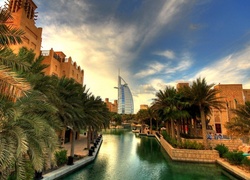 Hotel, Dubaj, Palmy