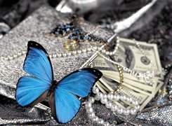 Niebieski, Motylek, Perły, Pieniądze