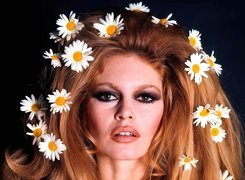 Kobieta, Brigitte Bardot, Stokrotki