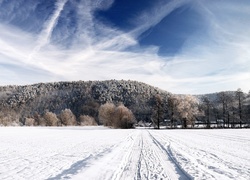 Zima, Drzewa, Śnieg