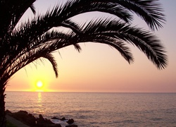 Zachod, Słońca, Ocean, Palma