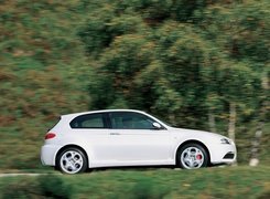 Biała, Alfa Romeo 156