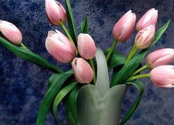 Wazon, Różowe, Tulipany