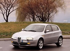 Alfa Romeo 147, Wierzba