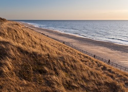 Morze, Plaża, Deptak, Trawa