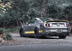 Ford, Mustang, Tuning, Chicane