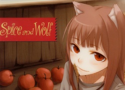 Spice and Wolf