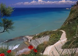 Ocean, Ścieżka, Maki, Klif