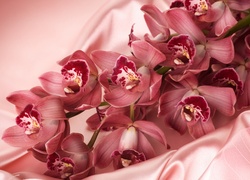 Atłas, Różowe, Orchidee