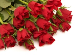 Róże, Czerwone, Bukiet