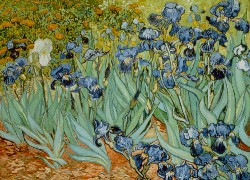 Irysy,  Vincent van Gogh, Obraz